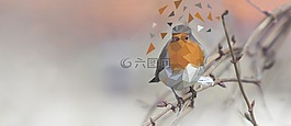 鳥,性質(zhì),鋼筆
