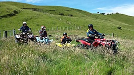享受陽光,四輪摩托車,新西蘭