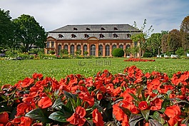 橘園,架構(gòu),鮮花