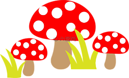 菌類,蘑菇,有毒