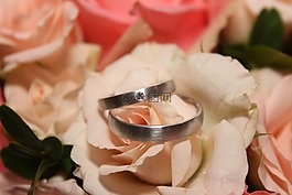 結(jié)婚戒指,環(huán),婚禮