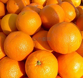 橙色,水果,橙