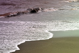 海灘,波,水