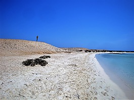海灘,沙丘,海