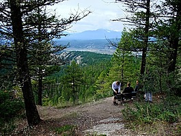 森林,山,加拿大