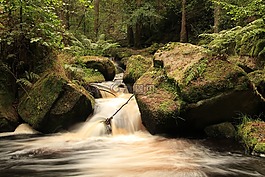 水,快岩,树
