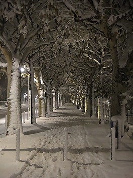 冬天,雪,白