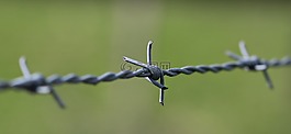 鐵絲網,草場圍欄,籬笆