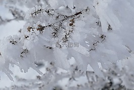 霜,積冰,冬季