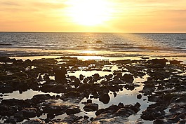 日落,海洋,太陽(yáng)