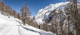山,雪,瑞士