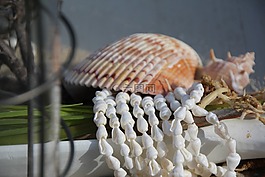 魚,貽貝,德卡