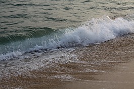 海灘,波,海洋
