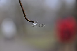 水,一滴水,滴