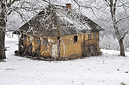 冬天,雪,冷