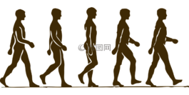 男子,人类,侧影