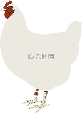 动物,稗,鸟