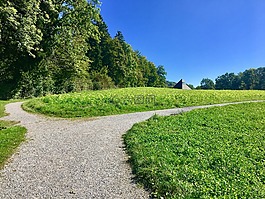 rumensee,性質(zhì),草地