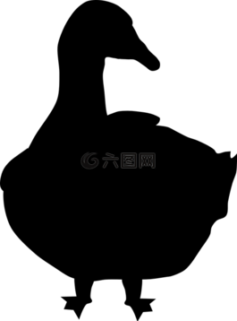 鵝,農(nóng)場,動物