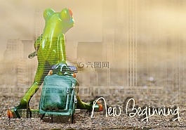 青蛙,新的开始,移动