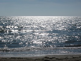 亞得里亞海,海,海灘