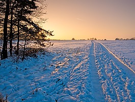 冬天,雪,寒冬