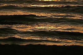 海,波,太陽