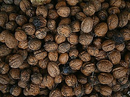 核桃,堅果,食品