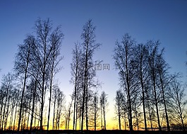 日落,地平線,景觀