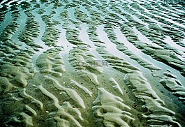 靜物,海灘,海