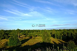 森林,樹(shù)木,天空