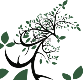 分支機(jī)構(gòu),葉子,植物