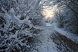 雪,路徑,奧羅拉