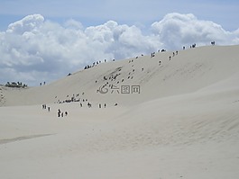 沙丘,流動沙丘,沙