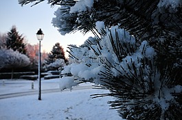 雪,景觀,奧羅拉