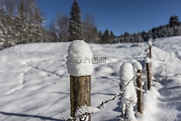 籬笆,草場圍欄,藍色