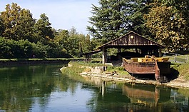 景觀,江,性質