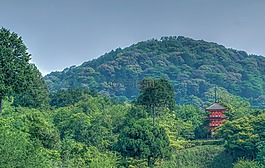 京都,日本,山