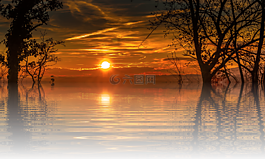 日落,假期,太陽(yáng)