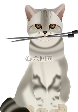 貓,基蒂,針織