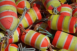 魚,凈,浮動(dòng)