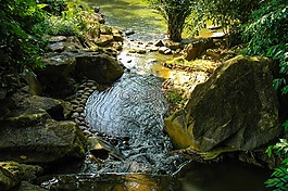 水运行,流利,河风景