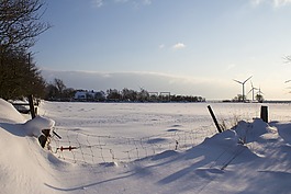 冬天,雪,凍結(jié)的