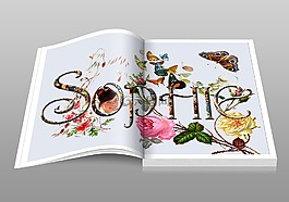蘇菲,書,本打開的書