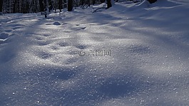 冬天,雪,冷