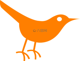鳥(niǎo),twitter,橙色