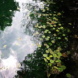水,河,自然