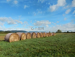 场,性质,字段