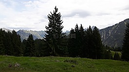 景觀,阿爾高,山