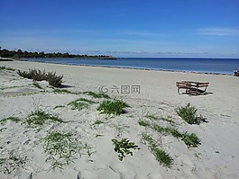 海灘,假期,水